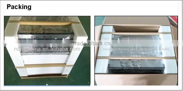 Home electric baking Pizza oven with hot plate