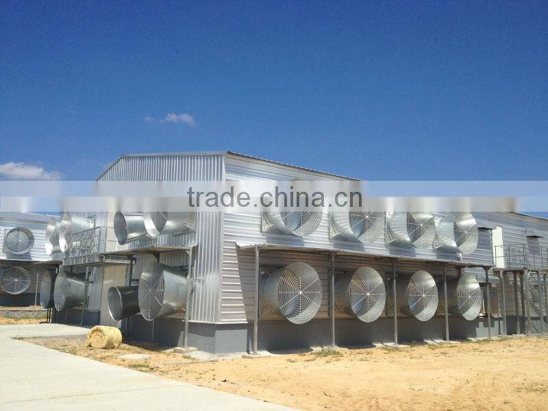 professional steel structure poultry shed used in chicken farm