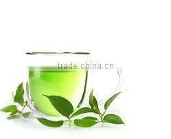Grade First Green Tea Manufacturer