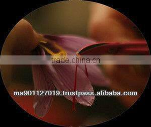 Pure Moroccan Saffron 100% BIO ( The Best Quality In World)