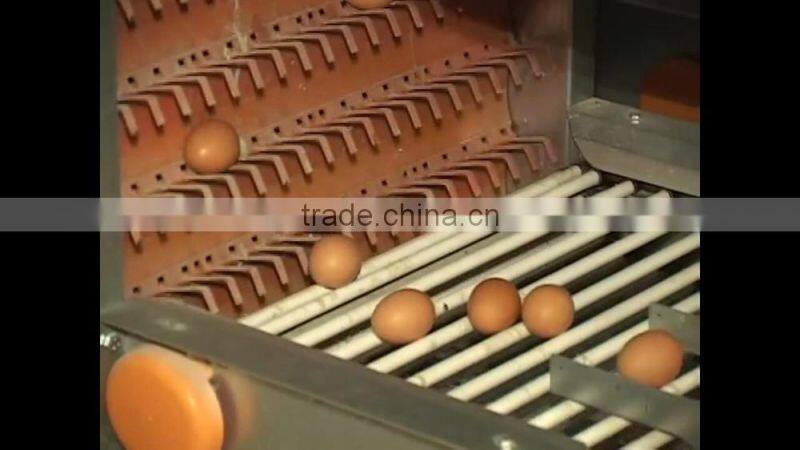 VIET NAM BROWN CHICKEN EGGS