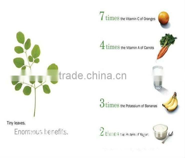 GMP Certified Manufacturer Supply Natural Moringa Powder