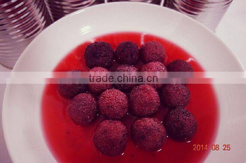 High Quality Canned Red Bayberry Fruit Juice for canned fruit salad