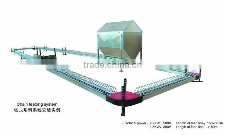 Automatic Chicken Feeding System/Automatic Feeding System For Chicken