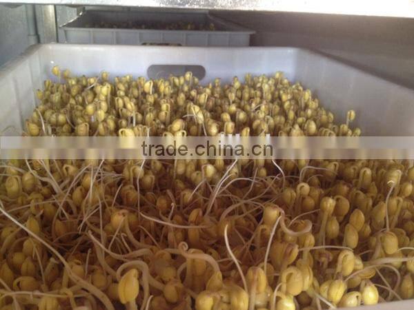 2016 soybean mung bean electric bean sprout maker