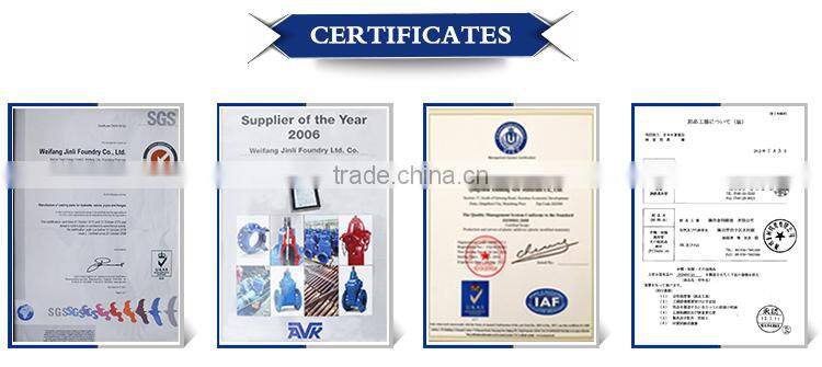 OEM Grey iron & ductile iron cast Factory price constructional transmissions steel casting valve body