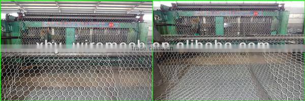 Weave poultry netting