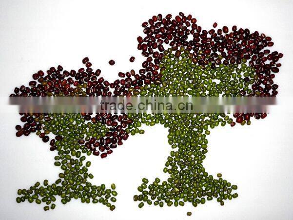 Coffee Beans, Soybeans, Mung Beans, Peanuts Color Sorter