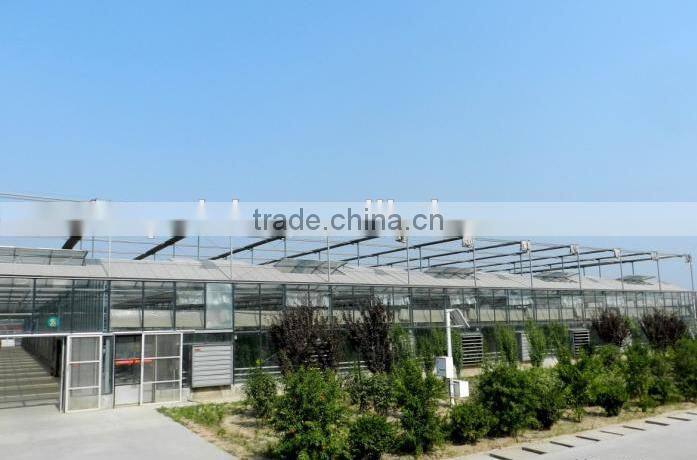 Aluminum frame Glass Greenhouse PC greenhouse with aluminum structure single span with automatic ventilation greenhouse