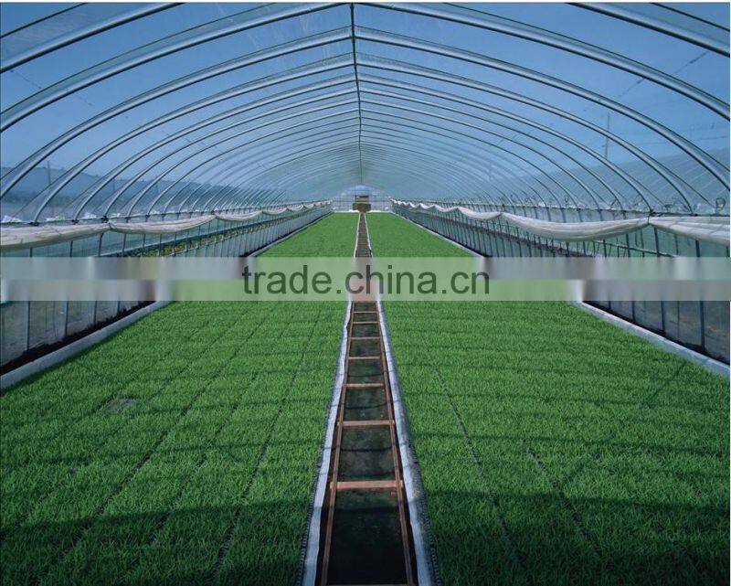 Outdoor anti-UV Wall Installation Aluminum frame Greenhouse with polycarbonate sheet
