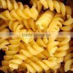 fully automatic high quality Macaroni Production Line equipment in chenyang machinery/pasta making machine /CE