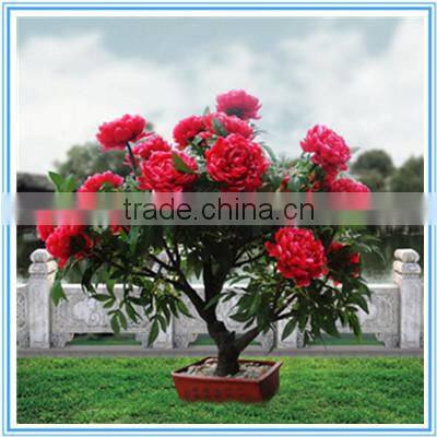 Artificial peony bonsai with lights