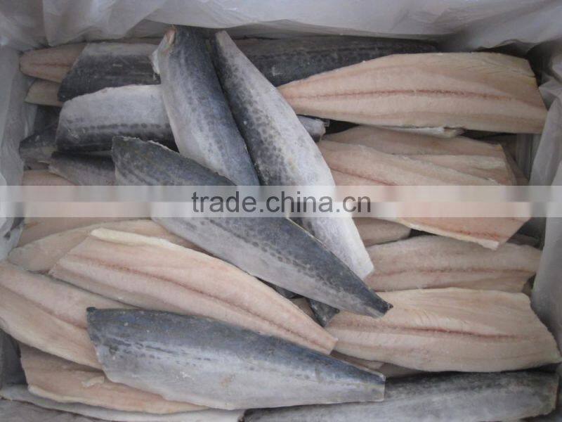 A grade quality frozen spanish mackerel fillets