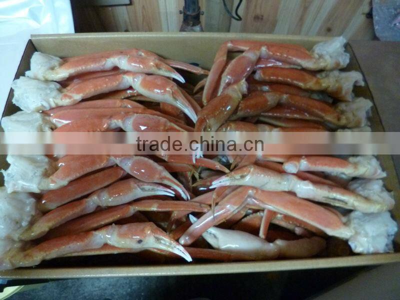 Best-selling and Delicious frozen fish and sea food crab for buyers , Other seafoods also available