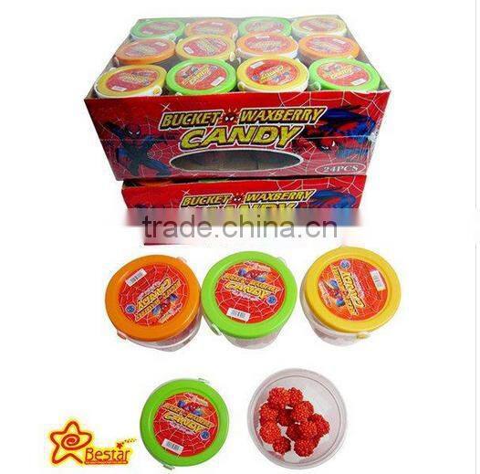 Fruit Flavor Mint Sugar Free Hard Candy