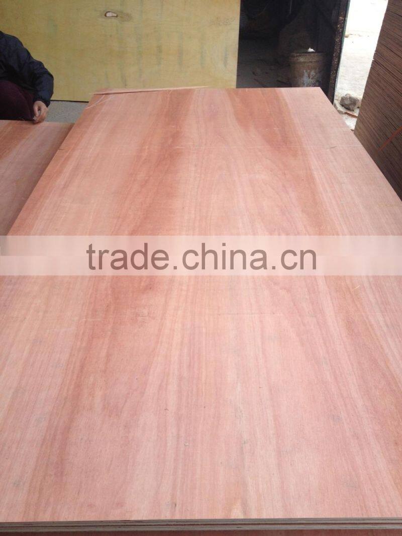 PACKING PLYWOOD , BC GRADE- CHEAP PRICE (3mm-18mm)
