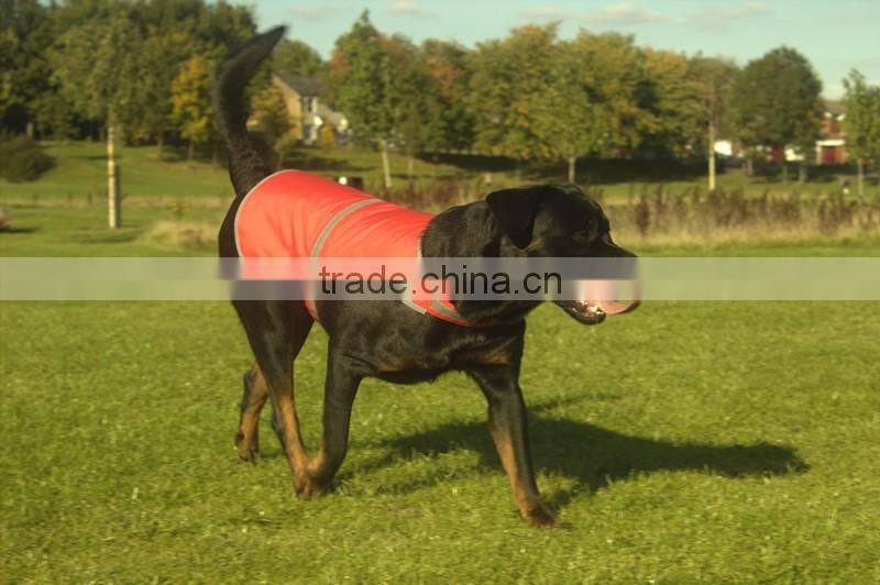 hi vis protective neoprene dog vest