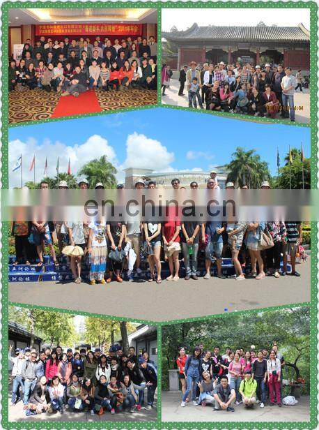 Wholesale Dubai Sofa Fabric