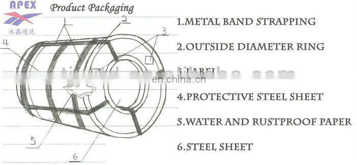 Pre-Painted Hot-Dip Galvanized Steel (PPGI, PPGL) Coil, Strip, Sheet