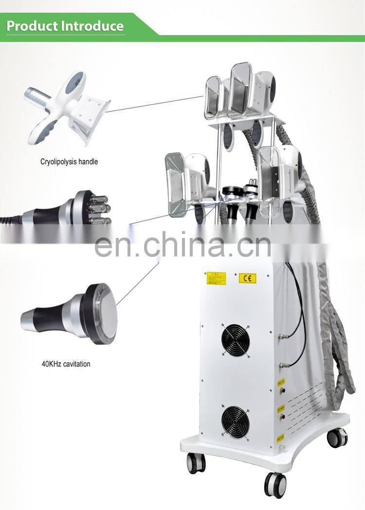 4 handles work at the same time 6 in 1 celulite remover cryo slimming weight loss machine for sale