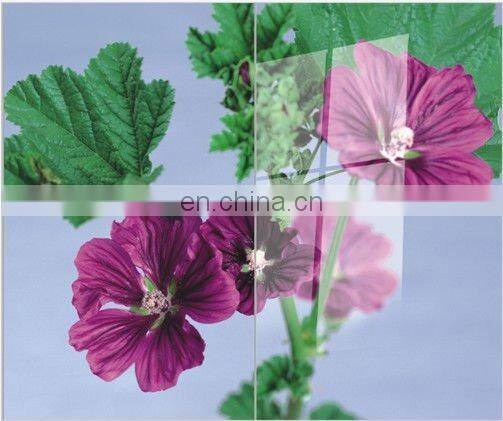 sell 3mm clear sheet glass