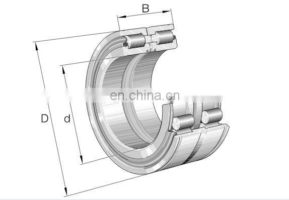 SL045005 PP SL04 5005 Full Complement Bearing Size 25x47x30 mm Cylindrical Roller Bearing SL045005-D-PP