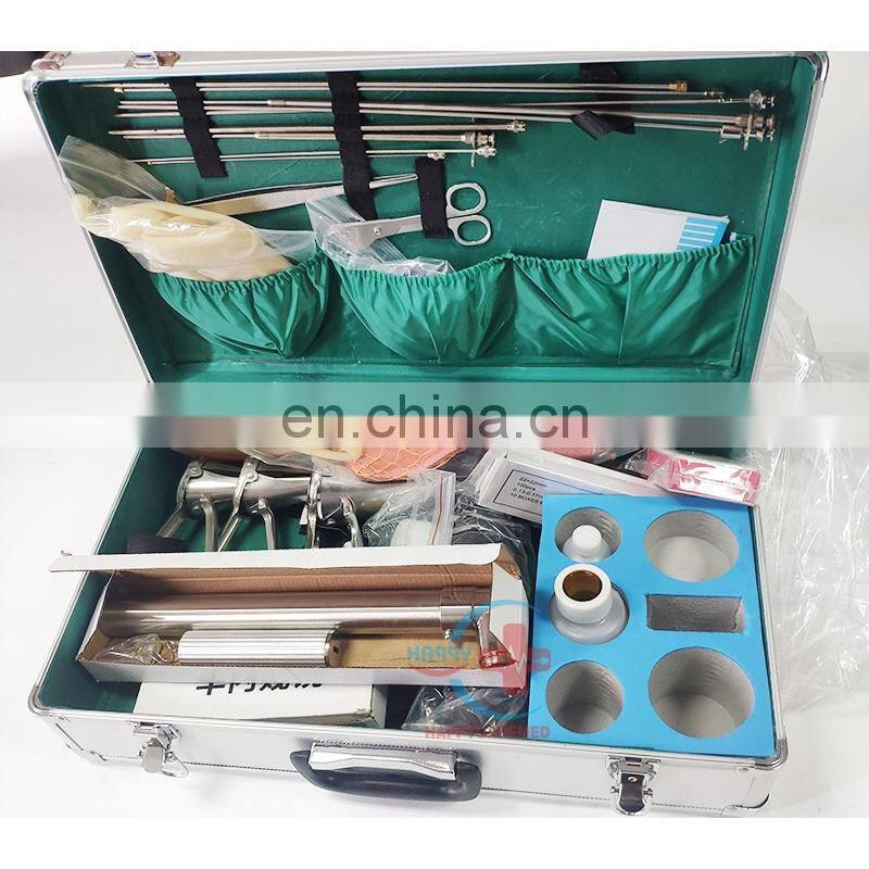 HC-R085 Pig ai gun artificial insemination gun/veterinary instrument of artificial insemination equipment for cattle
