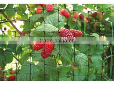 live bird traps anti bird netting