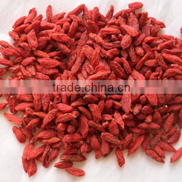 500grains/50g dried goji berry
