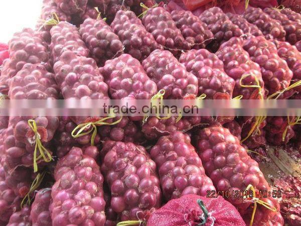 Fresh Onion Market Price