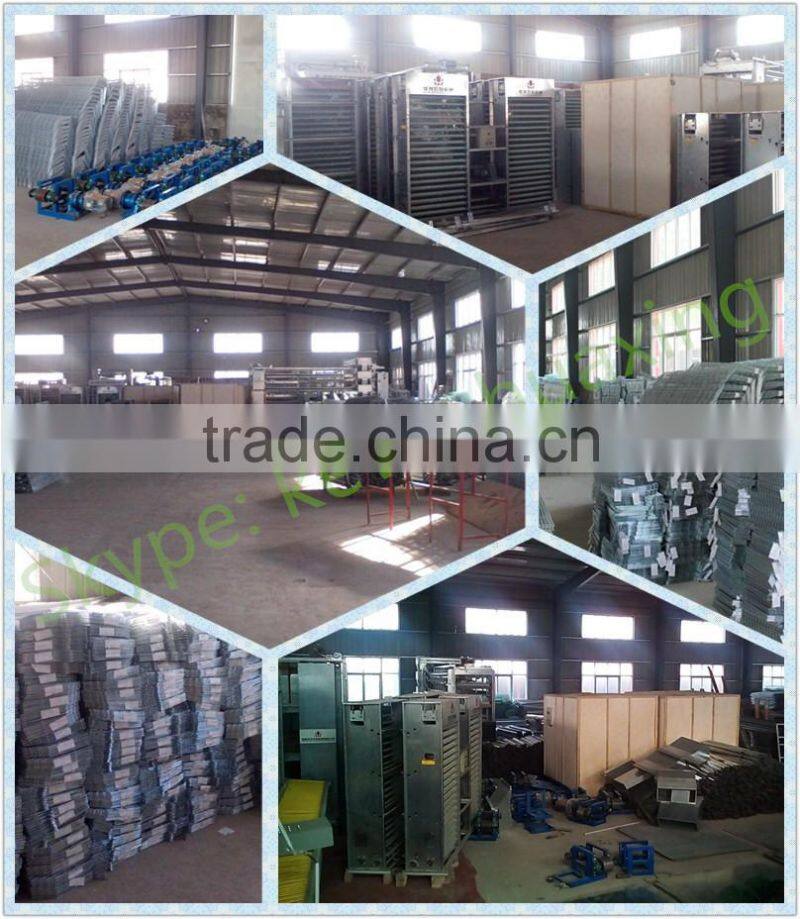 broiler battery cages with automatic system