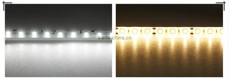 Waterproof multicolor led strip light IP68
