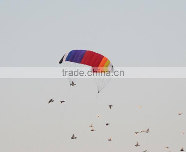 Dual Line Power Kite for Promotion