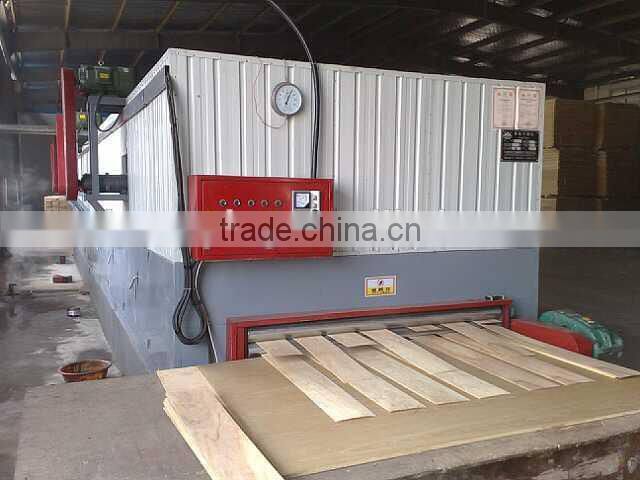 Veneer Dryer