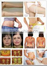 Lipolaser slimming machine/Lipolaser Weight Loss Machine 14 pads Lipo Laser Weight loss system