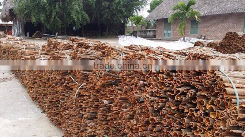 BROKEN CASSIA - CINNAMON (Skype: vuongngoc0901)