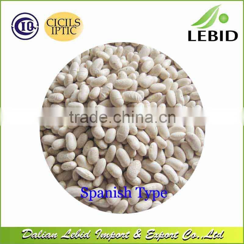 2016 Crop Wholesale white beans long shape for sales