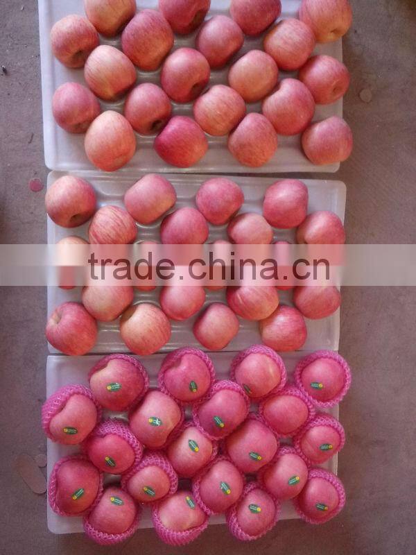 Fresh fuji apple selling in China (Varieties: fuji, huaniu, gala, golden,qinguan, red star)