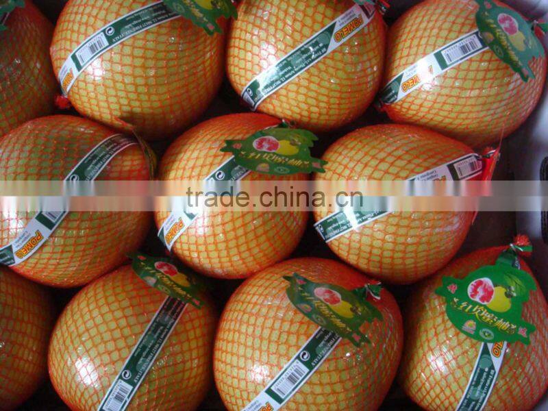 Fresh Chinese juicy red pomelo