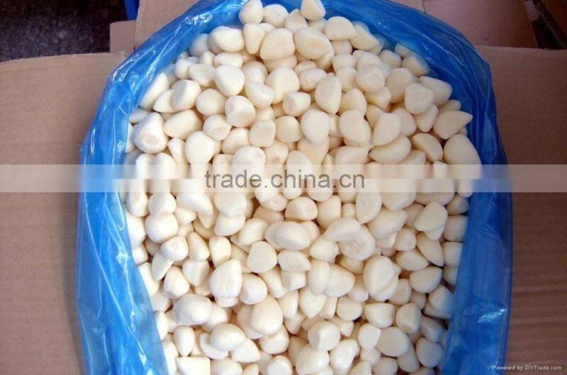 IQF Peeled Garlic