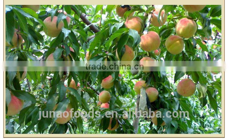 canned yellow peach sliced in syrup