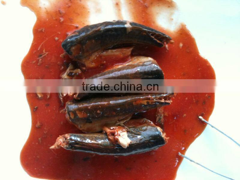competitive price delicious fresh material sardines fish canned in tomato sauce