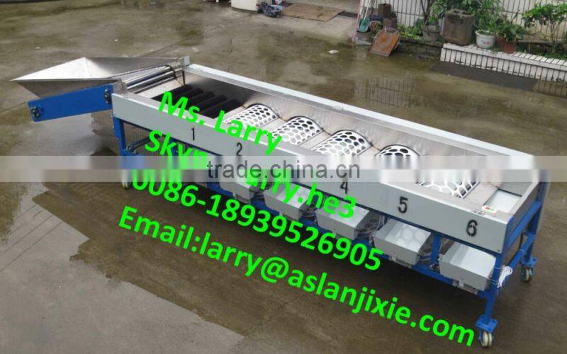 nut size sorting machine/walnut size grader/walnut size sorter