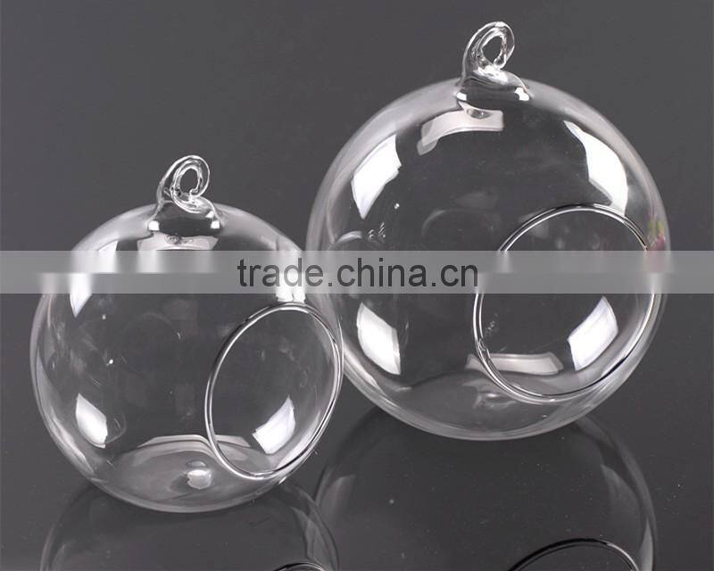 clear glass Vase globe glass Landscape bottle beautiful