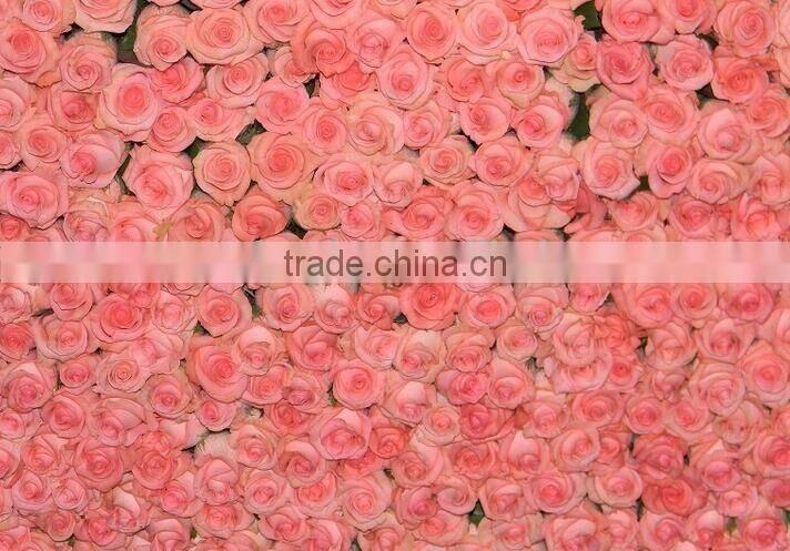 2016 Kunming fresh cut flowers fresh cut roses wholesale price