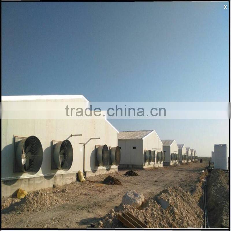 High quality Poultry Broiler and layer house