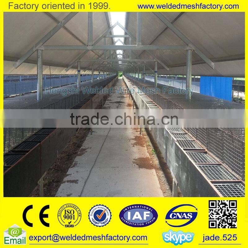 Professional Mink Cage Trap Hot dipped Galvanized Welded Wire Mesh mink cage