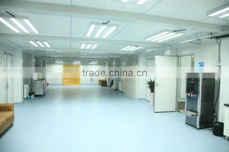 two storey Luxury container office building