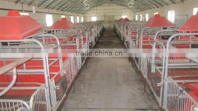 farrowing crates for pigs/pig farm Equipment