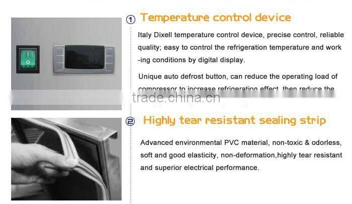 2 Door Stainless Steel Chest Chiller Kitchen Equipments